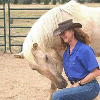 Horses For Healing At Sky View Acres Llc logo