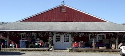 Champion Boots & Saddlery logo