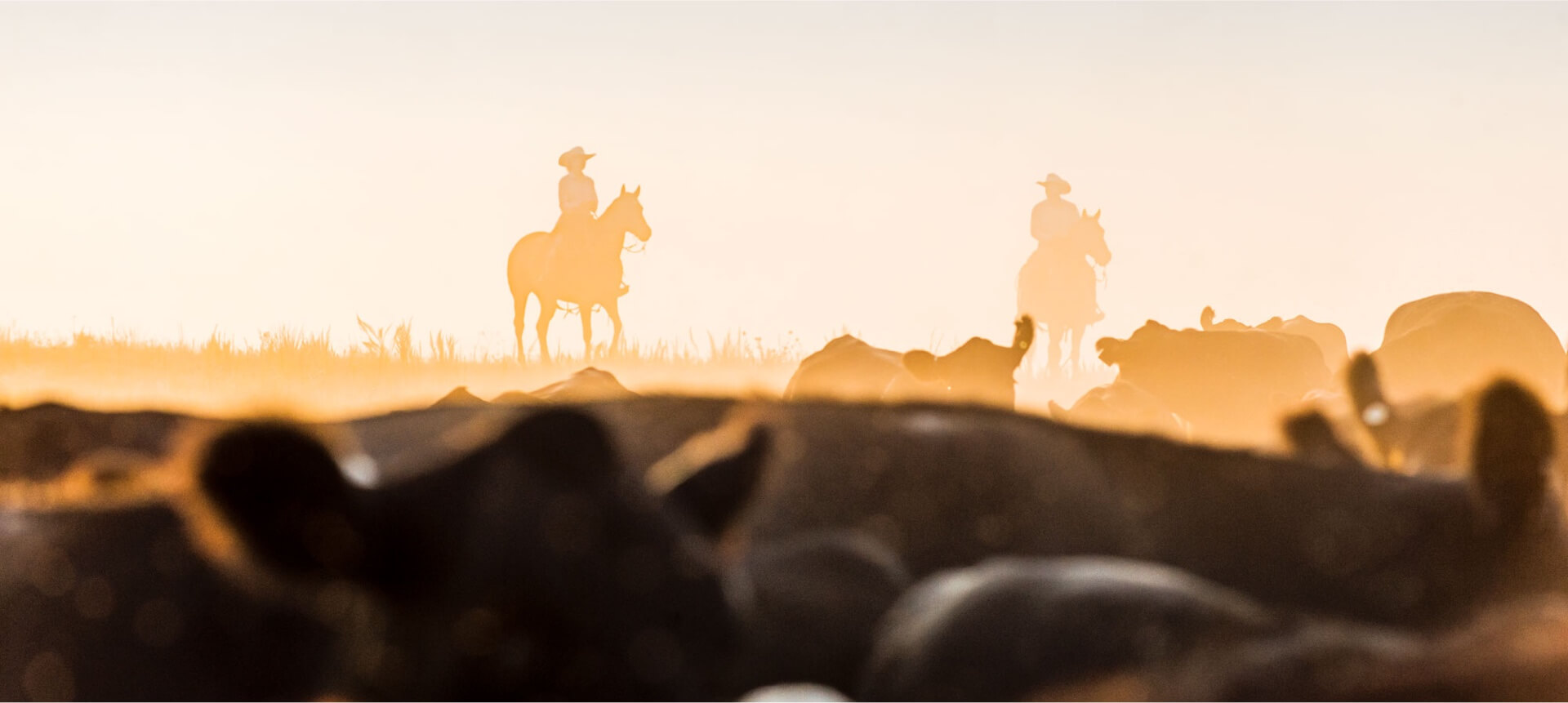 Farm Credit Services logo