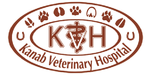 Kanab Veterinary Hospital logo