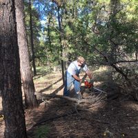 White Mountains Tree Service logo