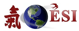 Esi Inc logo
