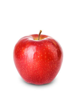 Washington Fruit North Docks logo