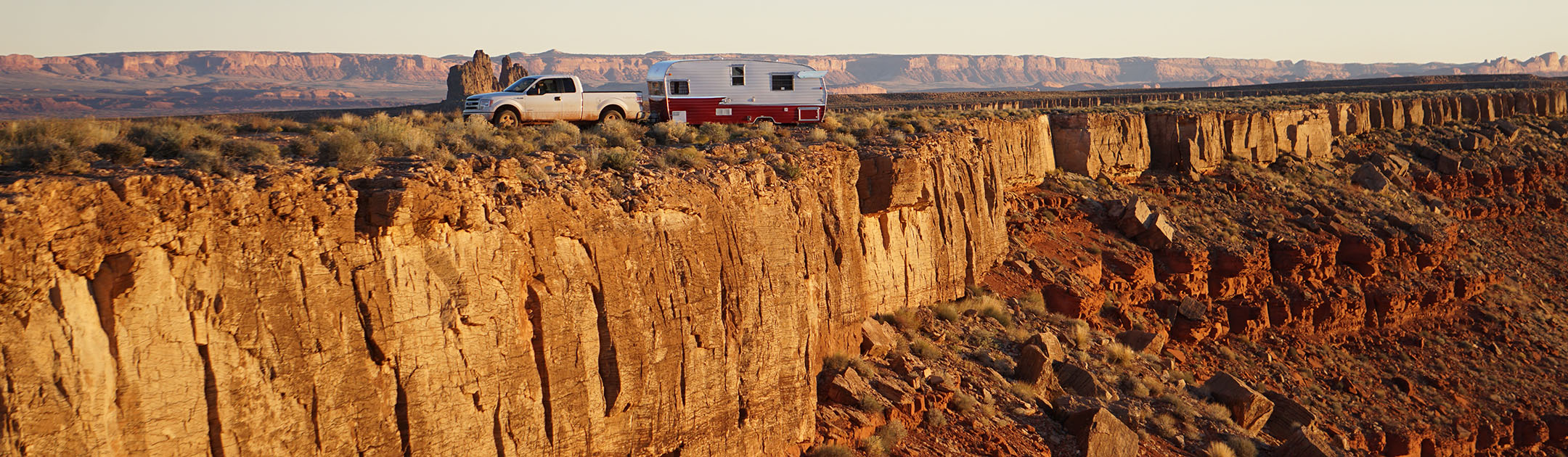 Shady Tree Rv logo