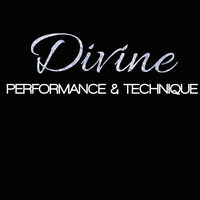 Divine Performance & Technique Inc logo