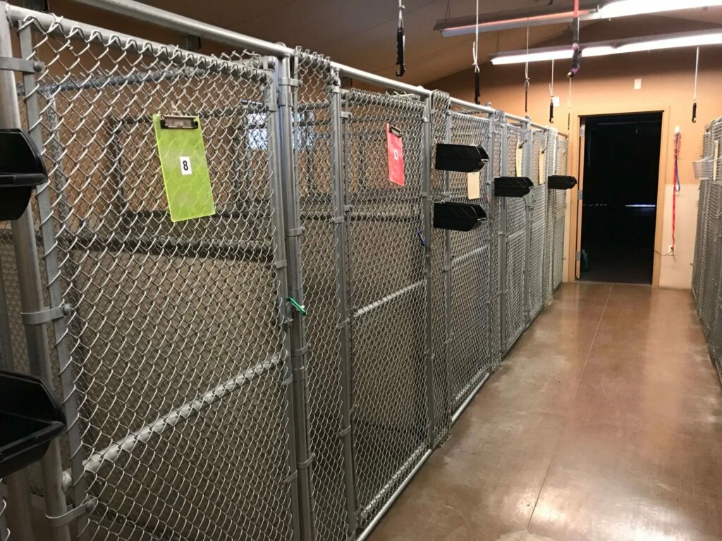 Airport West Animal Clinic & Kennel Club logo