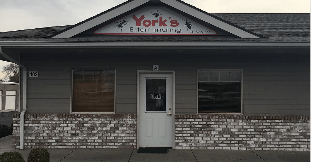 York's Pest Control logo