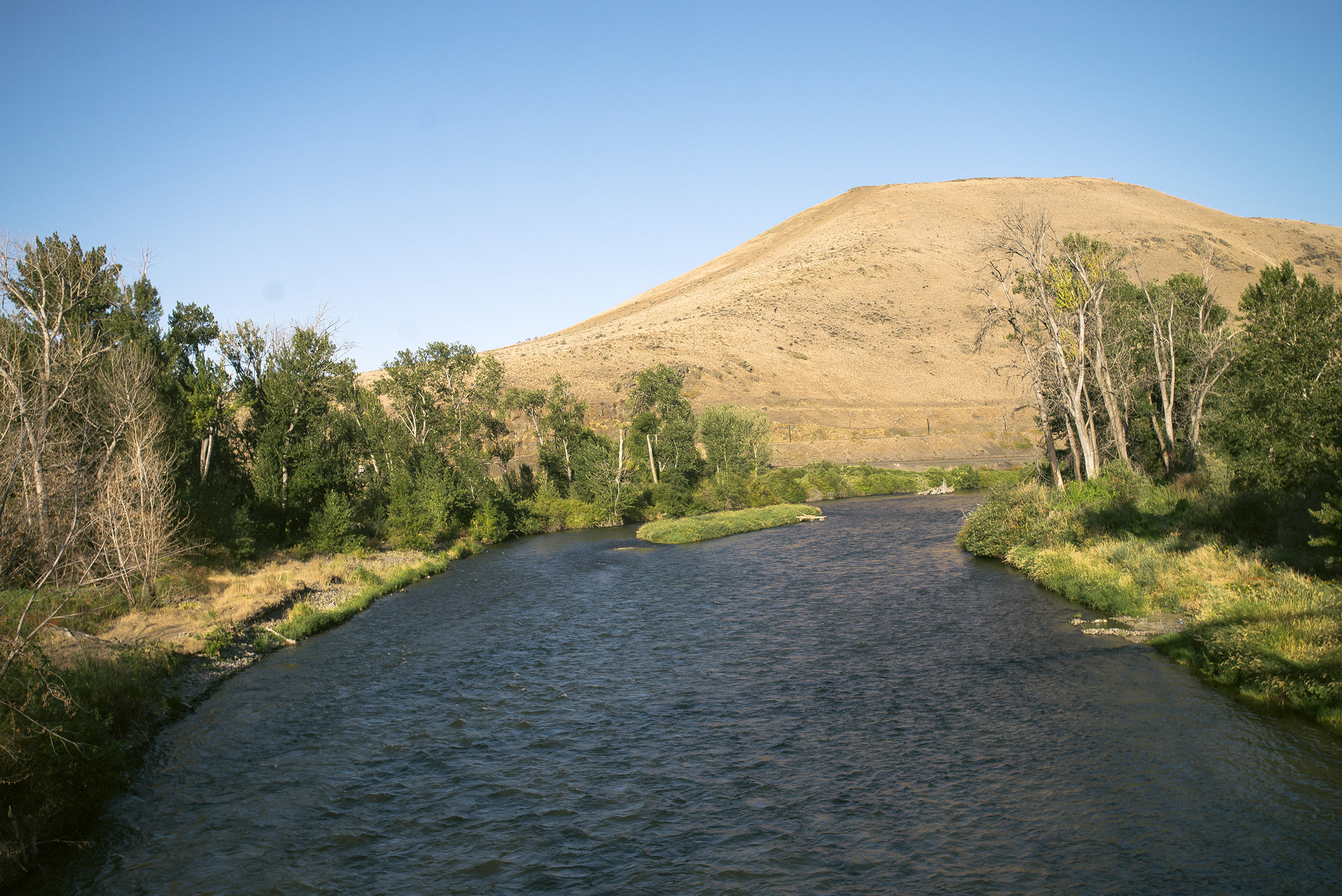 Yakima Valley Tourism logo