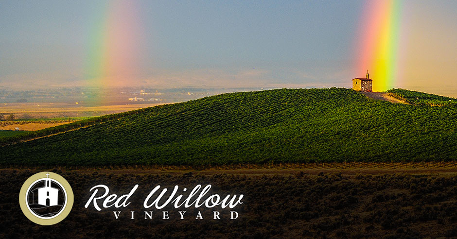 Red Willow Vineyard logo