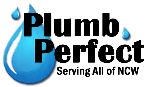 Plumb Perfect logo