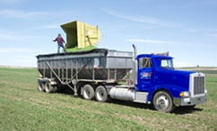 Skagit Transportation Inc logo