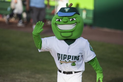 Yakima National Little League logo
