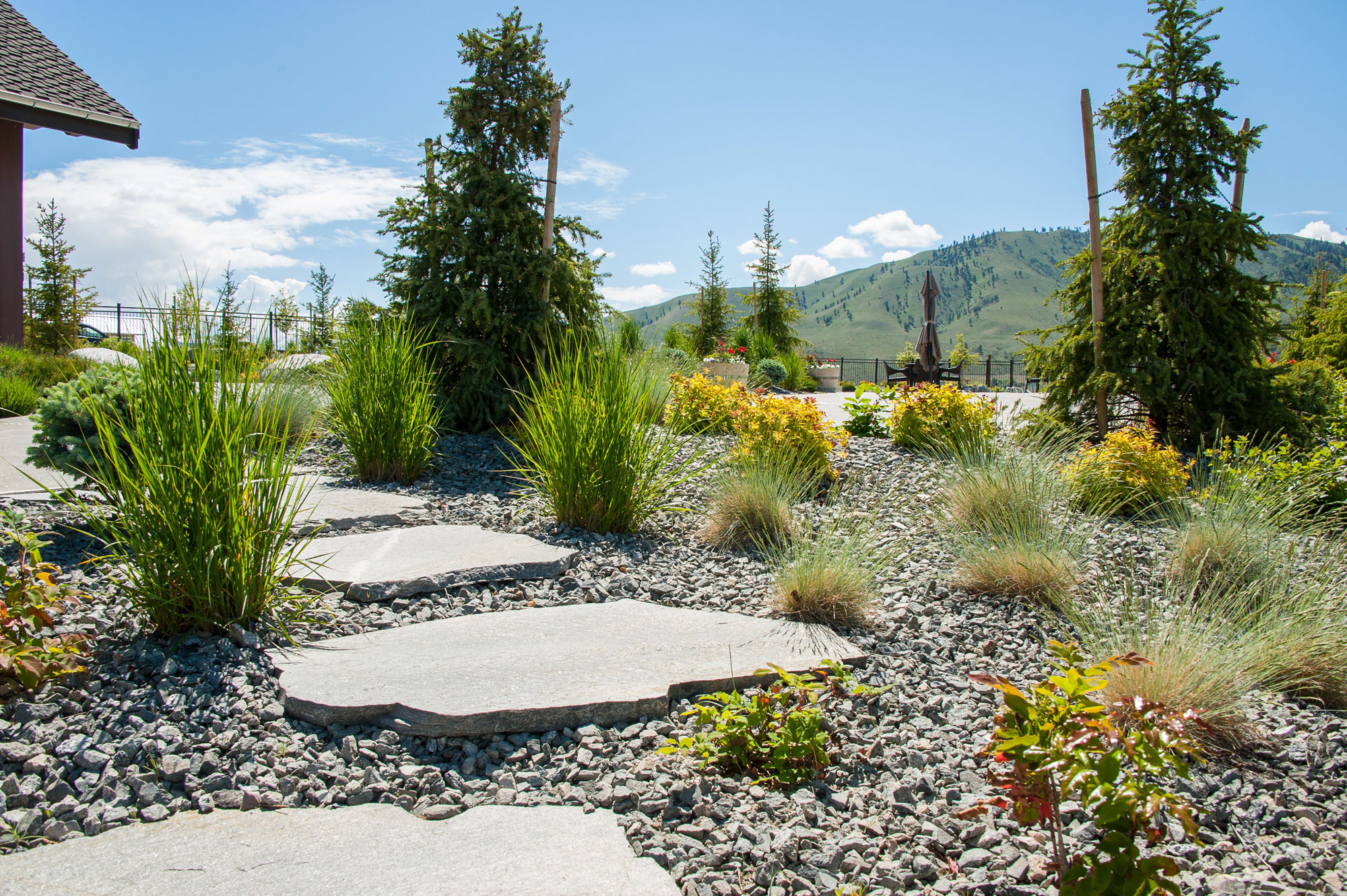 Deeproots Landscaping & Nursery Inc logo