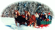 Icicle Outfitter & Guides Inc logo