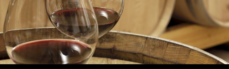 Plain Cellars Leavenworth Tasting Room logo