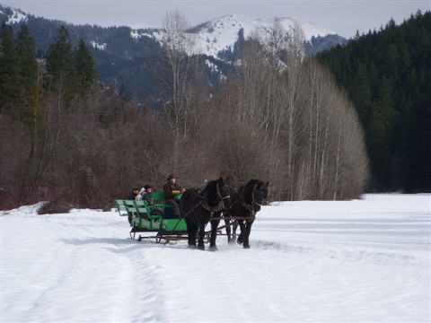 Eagle Creek Ranch logo