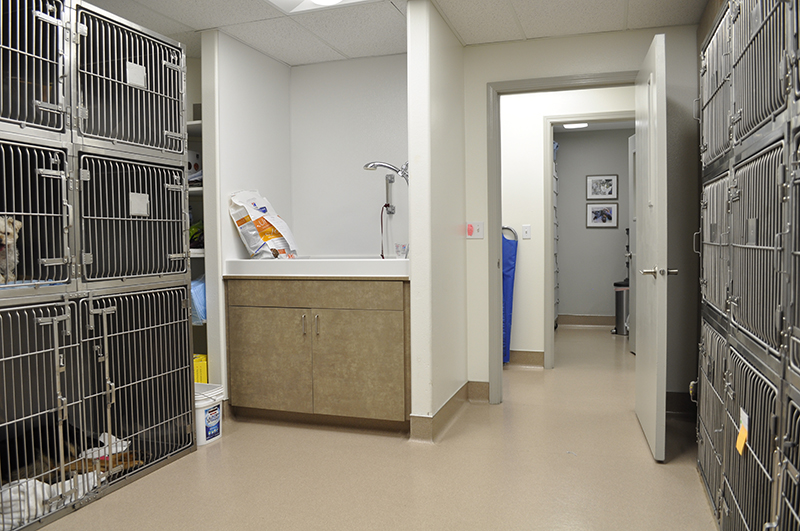 Countryside Veterinary Clinic logo
