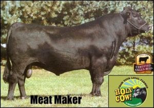Holy Cow! Grass Fed Beef logo