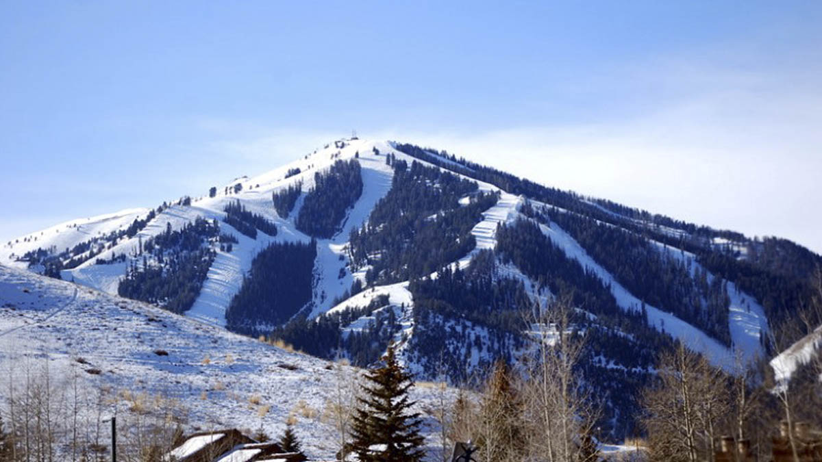 University Of Idaho Extension System Blaine County logo