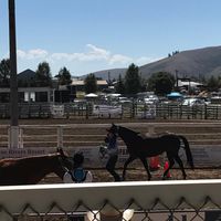 Gunnison County Fairgrounds logo