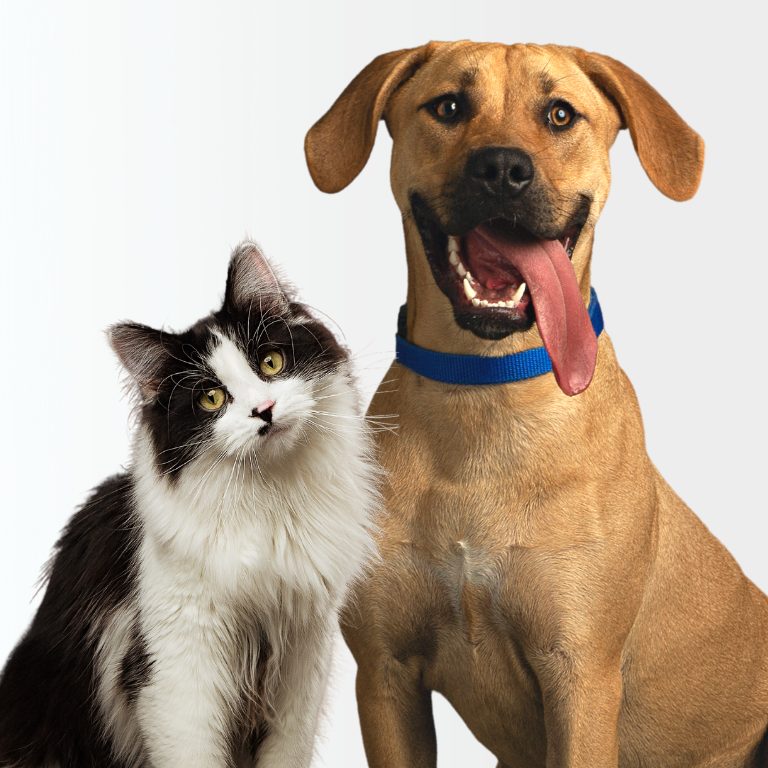 Humane Society-Roice Hurst logo