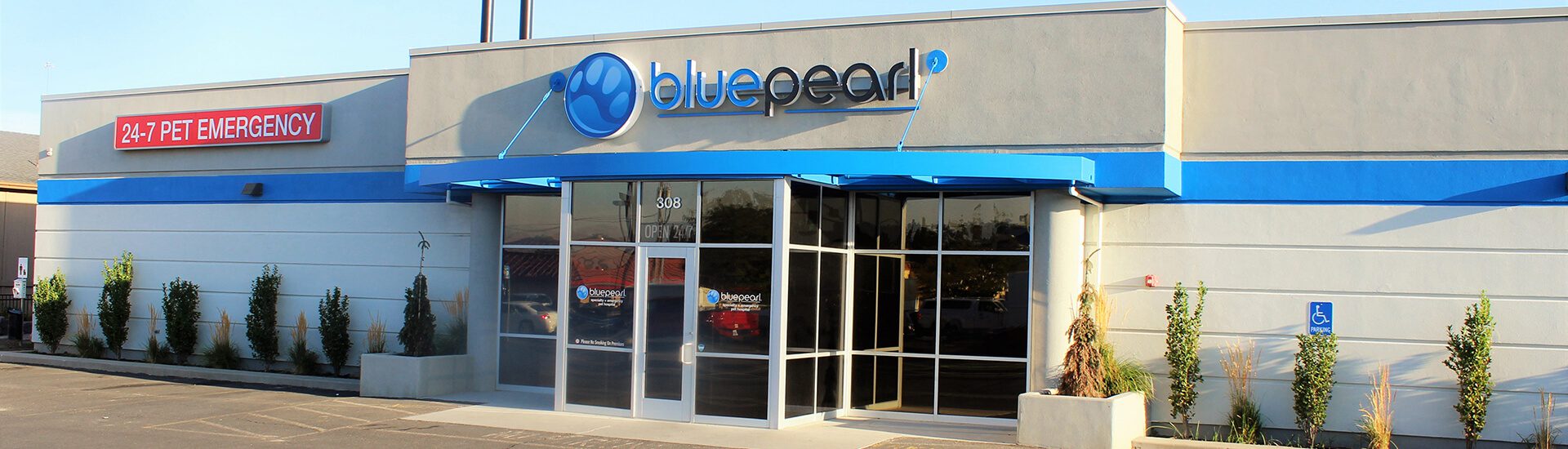 Bluepearl Pet Hospital logo