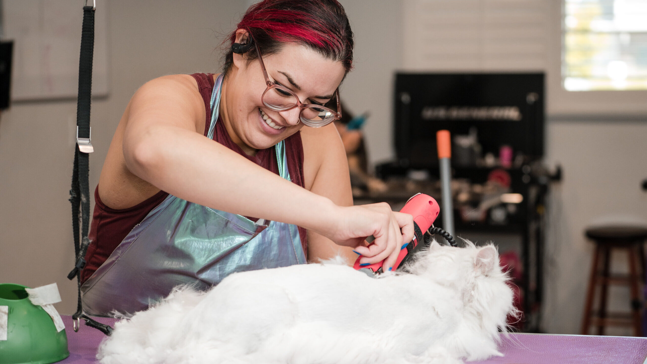 K9 Design Pet Grooming logo