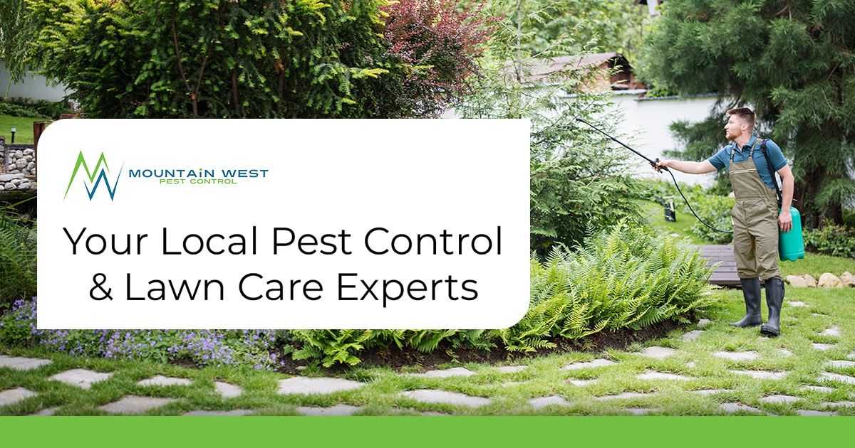 Mountain West Pest Control logo