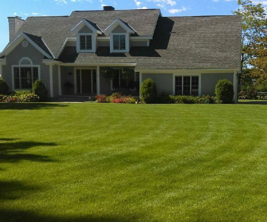 Cazares lawn care logo