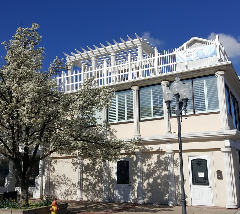 Liberty Hills Academy logo