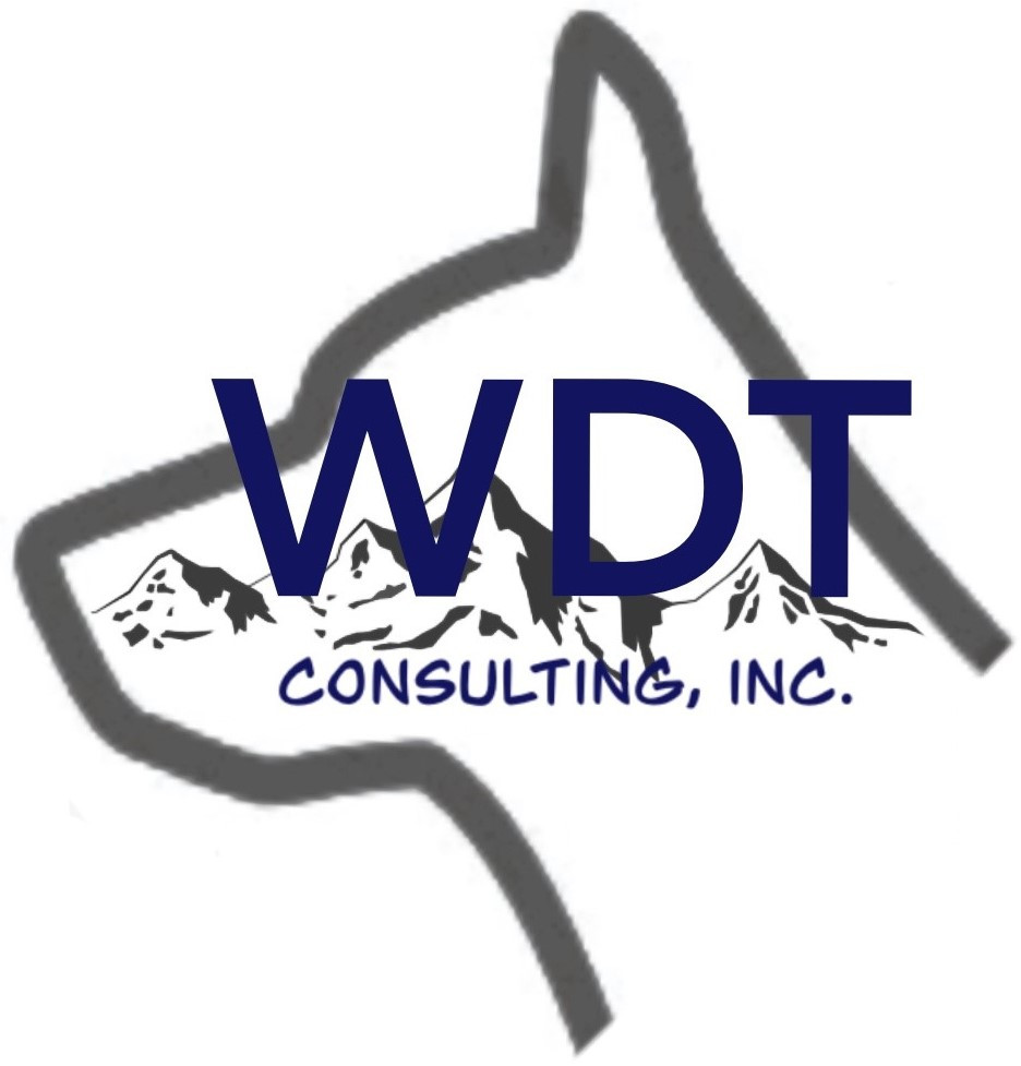 Wdt Consulting Inc logo
