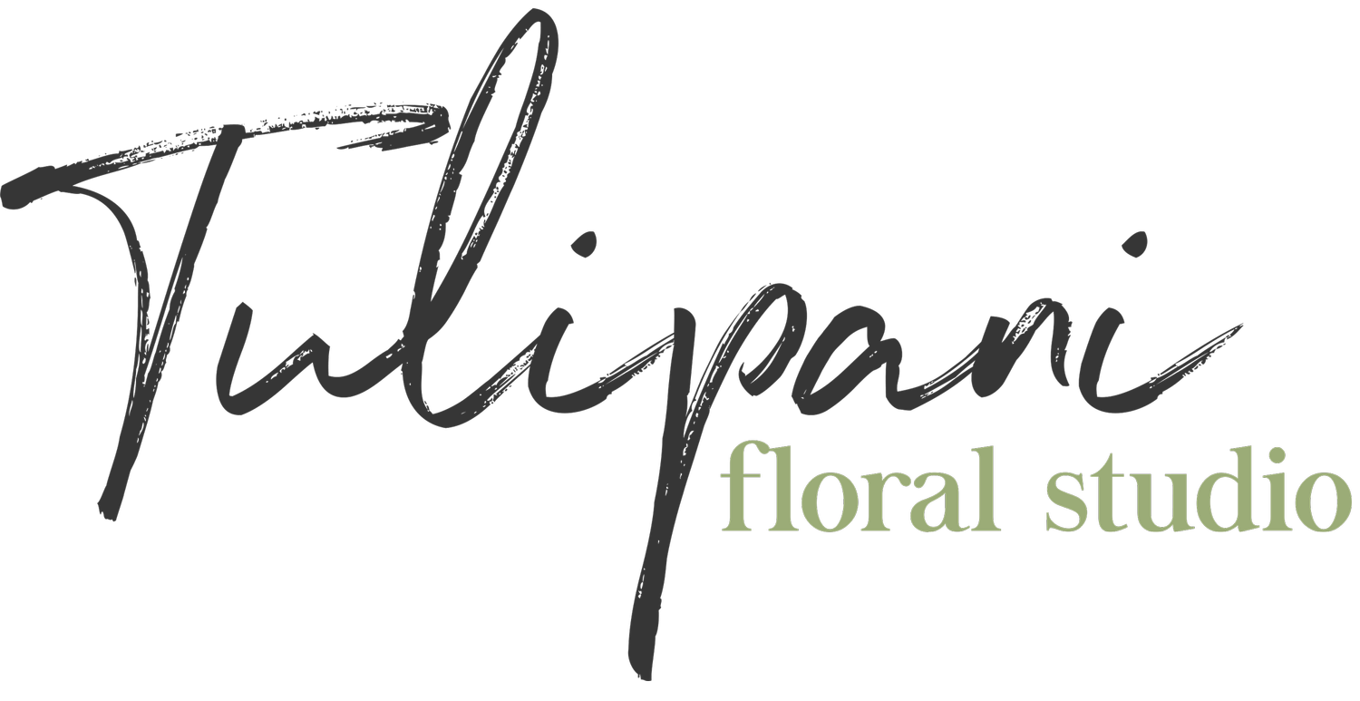 Tulipani Floral Studio logo