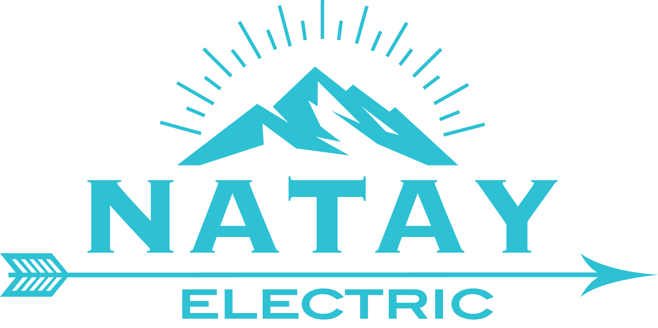 Natay Electric logo