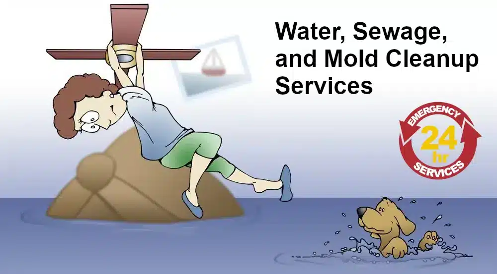 The Flood Co logo