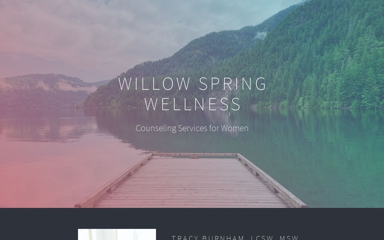 Willow Spring Wellness logo
