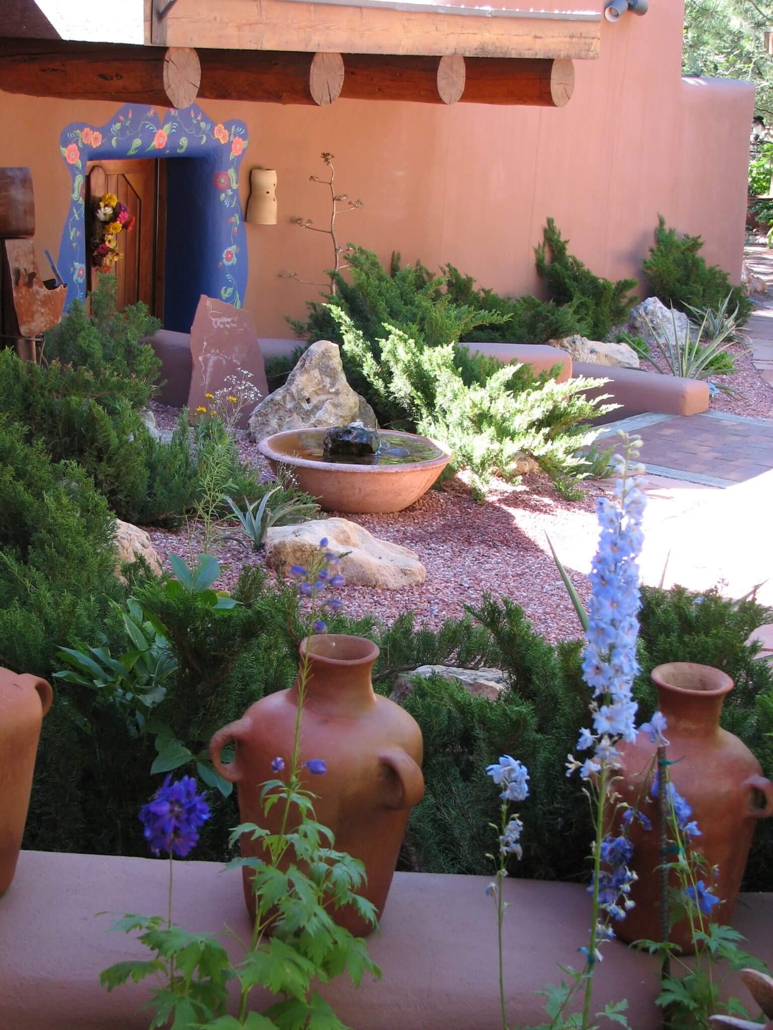 Native Plant & Seed logo