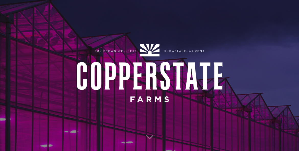 Copperstate Farms Llc logo