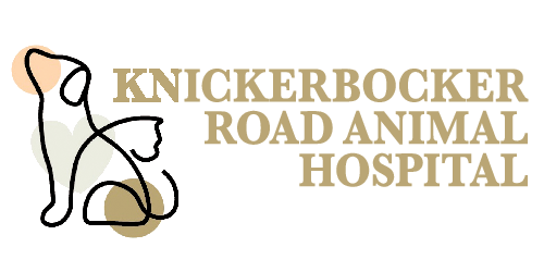 Knickerbocker Road Animal Hospital logo