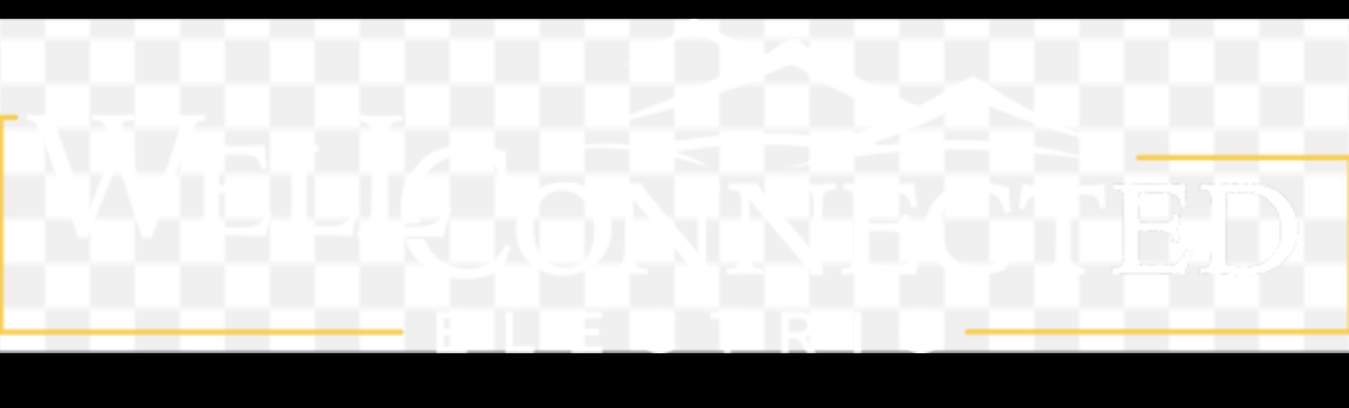 Well Connected logo