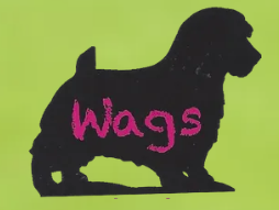 Wags Dog Daycare logo