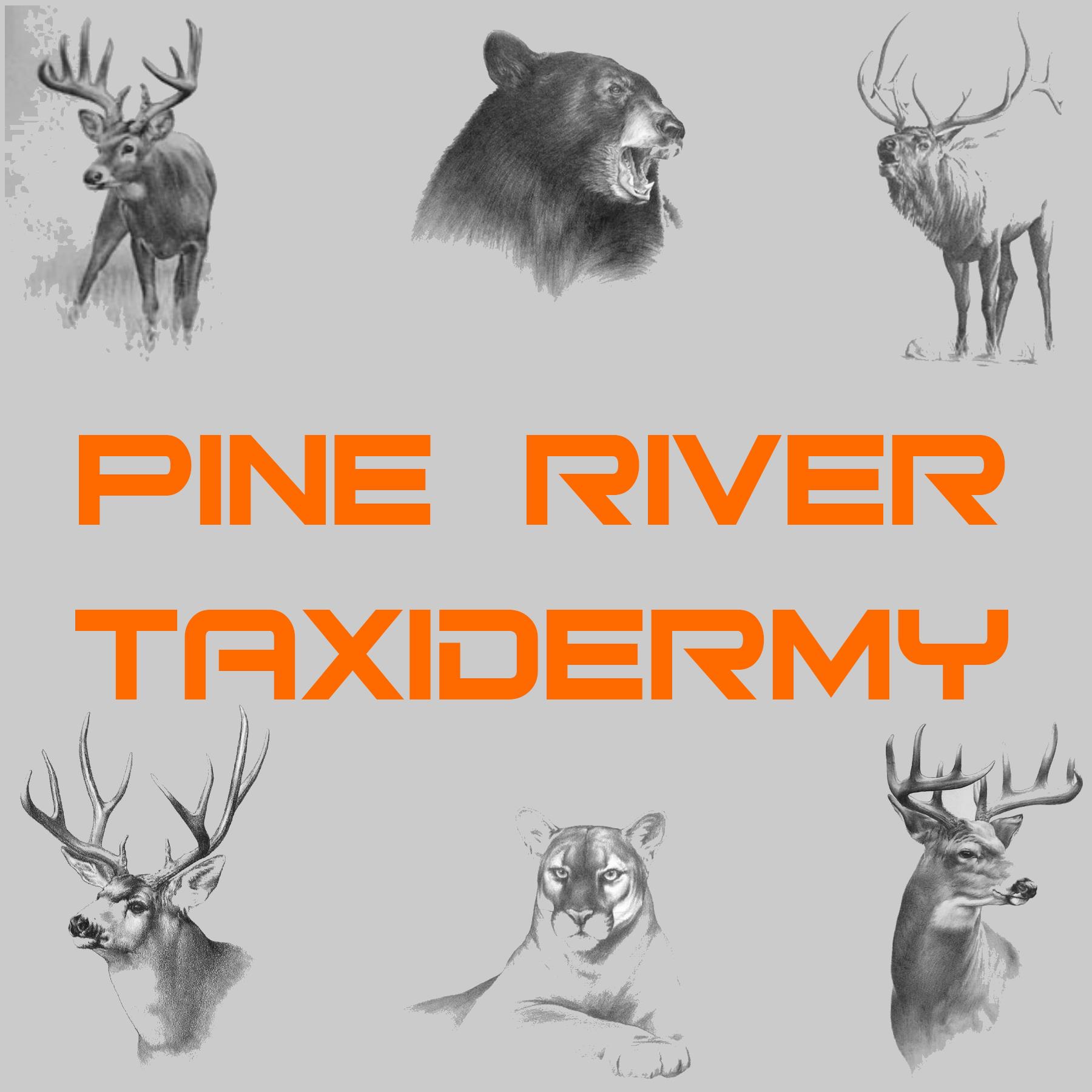 Pine River Taxidermy logo