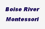 Boise River Montessori Inc Preschool & Kindergarten logo