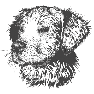 Crossroads Veterinary Clinic & Selbyville Animal Hospital logo