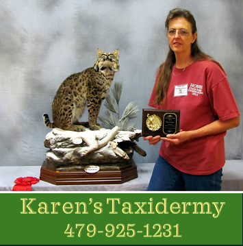 Karen's Taxidermy & Wildlife Art Studio logo