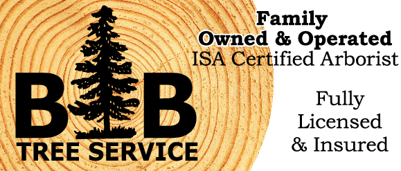 B & B Tree Service logo