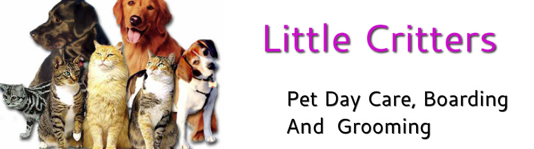 Little Critters logo