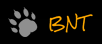 Bear Naked Technologies logo