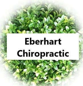 Eberhart Chiropractic logo