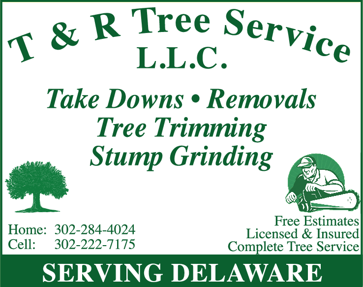 T & R Tree Service LLC logo