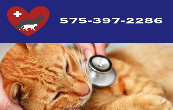 Dal Paso Animal Hospital logo